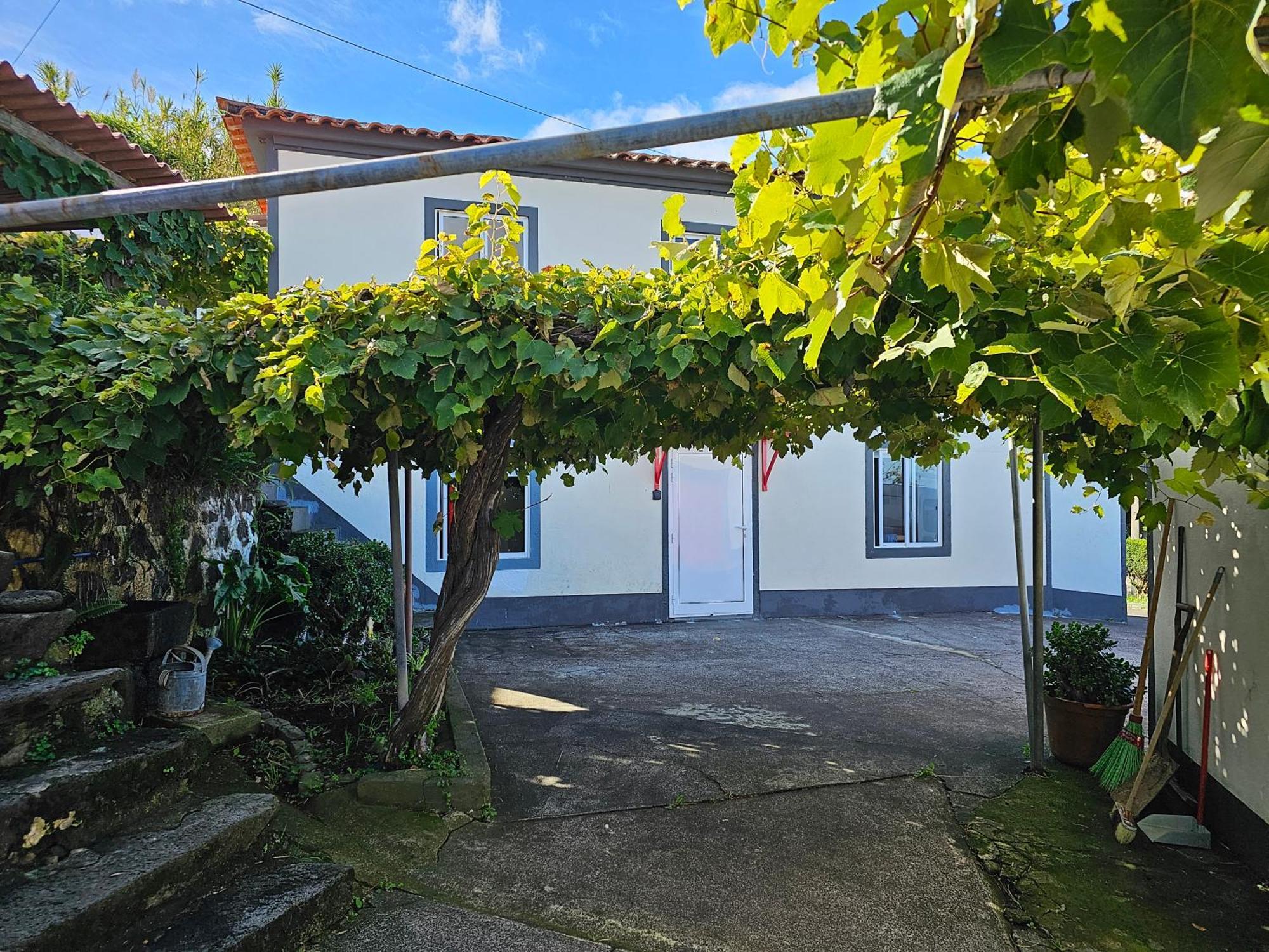 Casa Anjos Holiday Cottages Cedros Eksteriør bilde