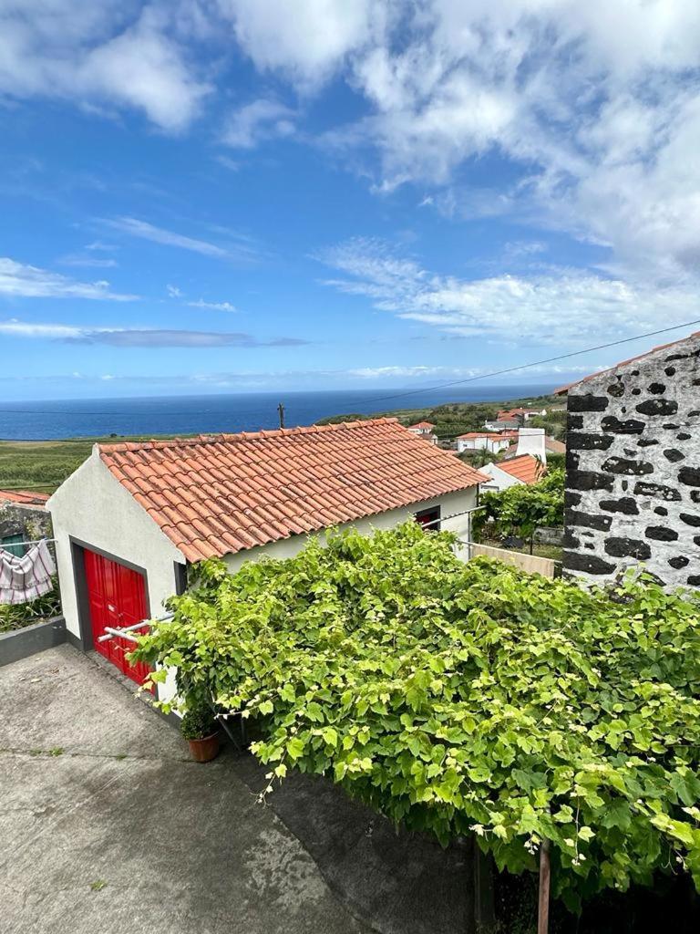 Casa Anjos Holiday Cottages Cedros Eksteriør bilde
