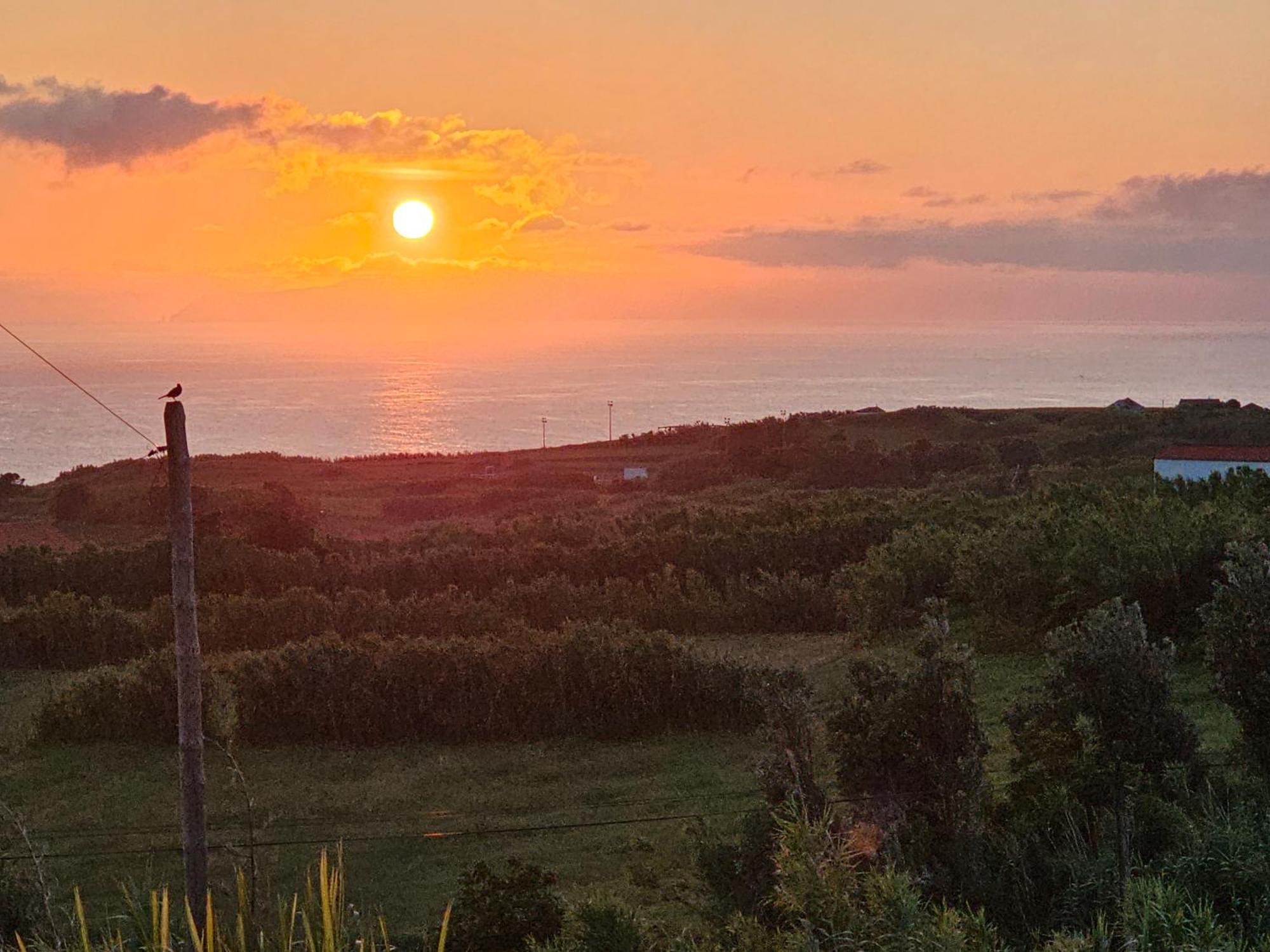 Casa Anjos Holiday Cottages Cedros Eksteriør bilde