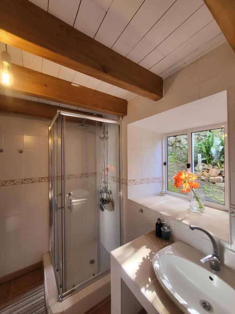 Casa Anjos Holiday Cottages Cedros Eksteriør bilde