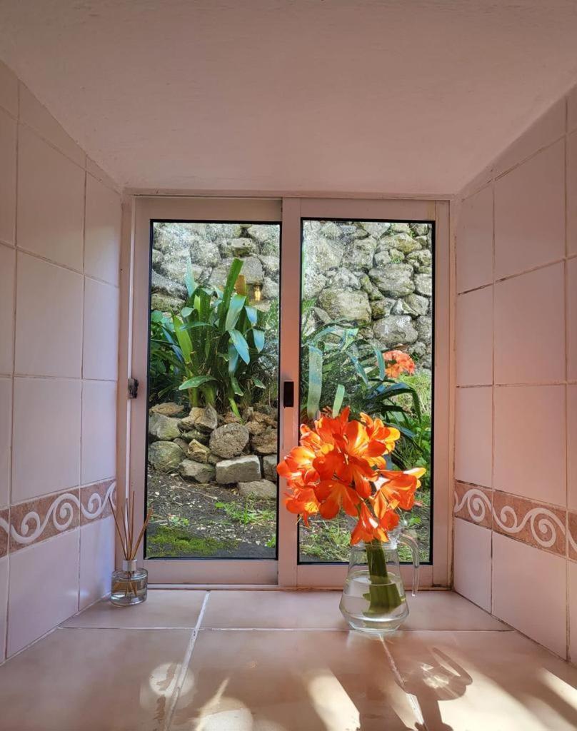 Casa Anjos Holiday Cottages Cedros Eksteriør bilde