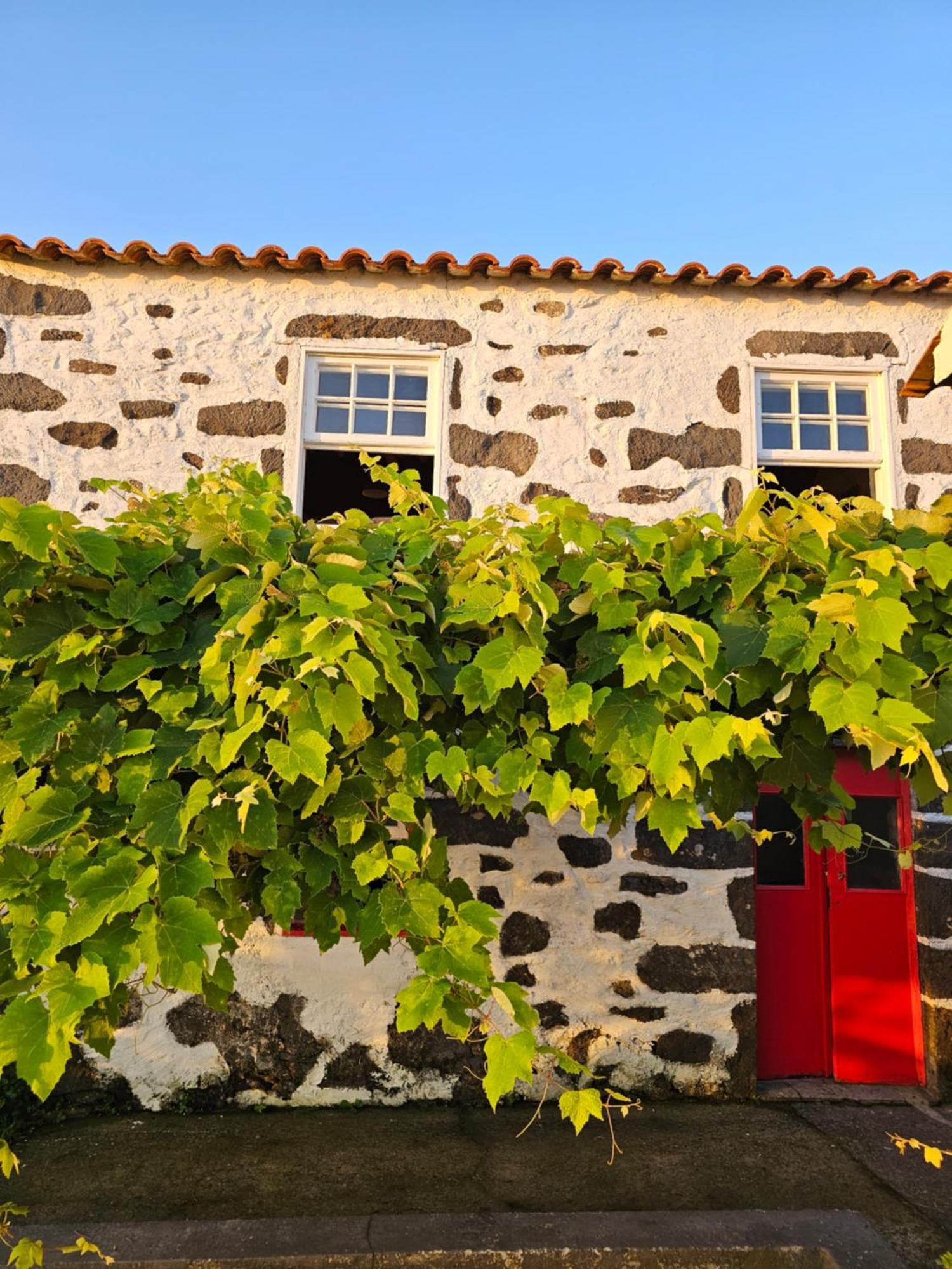 Casa Anjos Holiday Cottages Cedros Eksteriør bilde