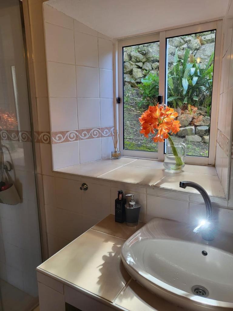 Casa Anjos Holiday Cottages Cedros Eksteriør bilde