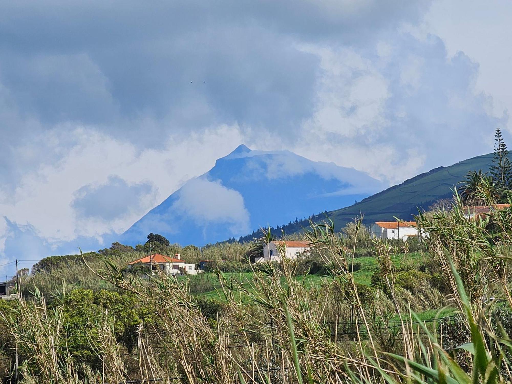 Casa Anjos Holiday Cottages Cedros Eksteriør bilde